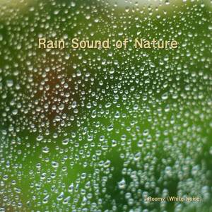 Listen to Rain Sound of Nature (ASMR) song with lyrics from J.Roomy