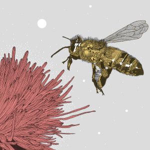 Listen to Nectar song with lyrics from Gas Lab