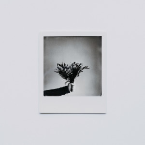 Listen to Fade Out song with lyrics from 루스 (Luz)