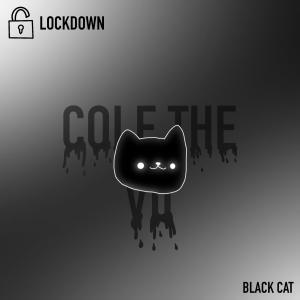 LOCKDOWN (feat. Cole The VII) [Freestyle]