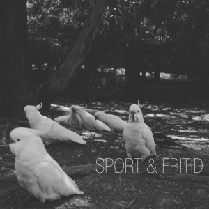 Album Sluta diktera from SPORT