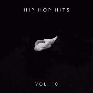 อัลบัม Hip Hop Hits Vol.10 (Explicit) ศิลปิน Various