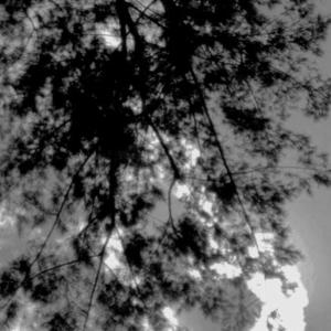 Dengarkan Metalelec (Remastered 2023) lagu dari L.E.C. dengan lirik