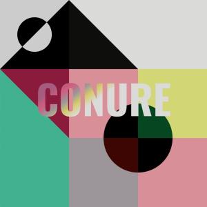 ดาวน์โหลดและฟังเพลง Rowlock พร้อมเนื้อเพลงจาก Hiie Rhon