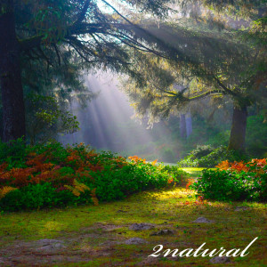 Listen to 2natural (Explicit) song with lyrics from Lucas Brown