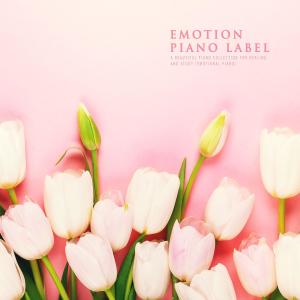 Various Artists的专辑A Beautiful Piano Collection For Healing And Study (Emotional Piano)