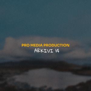 Album Produksioni Pro Media from Various