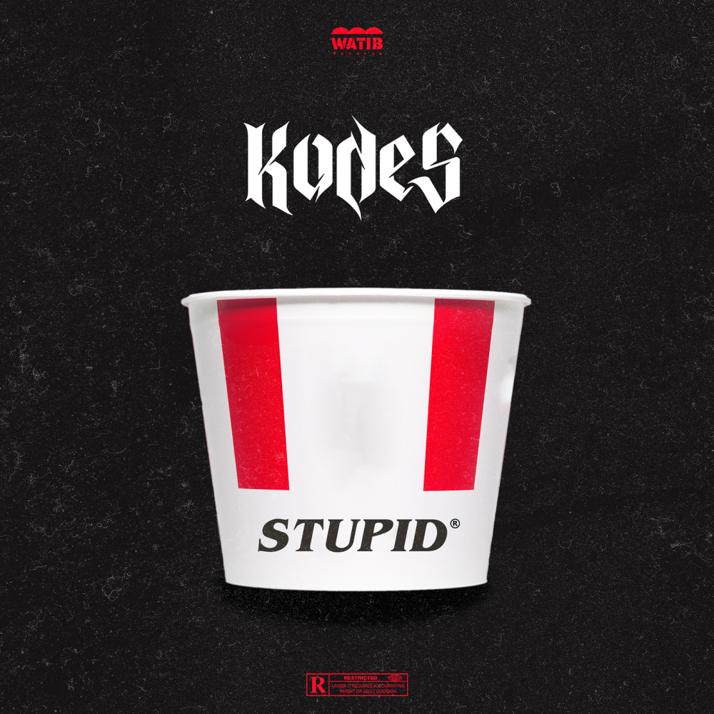 Stupid (Freestyle Rapelite|Explicit)