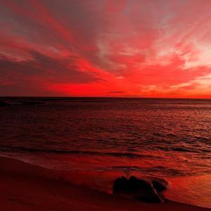Listen to Waves for Sleep song with lyrics from Soothing Sounds