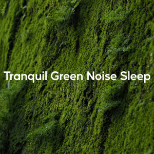 อัลบัม Tranquil Green Noise Sleep ศิลปิน 