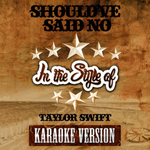ดาวน์โหลดและฟังเพลง Should've Said No (In the Style of Taylor Swift) [Karaoke Version] (Karaoke Version) พร้อมเนื้อเพลงจาก Ameritz Audio Karaoke