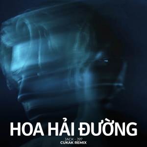 收聽Cukak的BEAT Hoa Hải Đường (Remix)歌詞歌曲