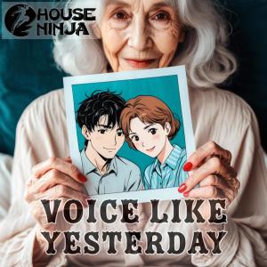 House Ninja的專輯Voice Like Yesterday