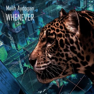 收聽Melih Aydogan的Whenever (Original Mix)歌詞歌曲