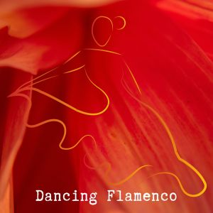 Listen to Rumores De La Caleta song with lyrics from Unknown Artist