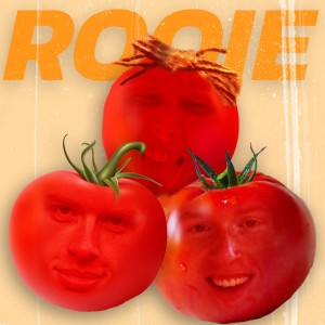 Listen to Rooie Boys song with lyrics from Lanterfanters