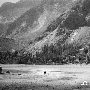 Album Seek Some Quiet Place from La Cantina