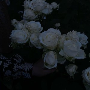 Listen to Bum Boys (Explicit) song with lyrics from ovxrplzyed