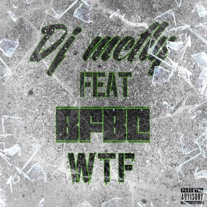 Listen to WTF (Explicit) song with lyrics from DJ McFly
