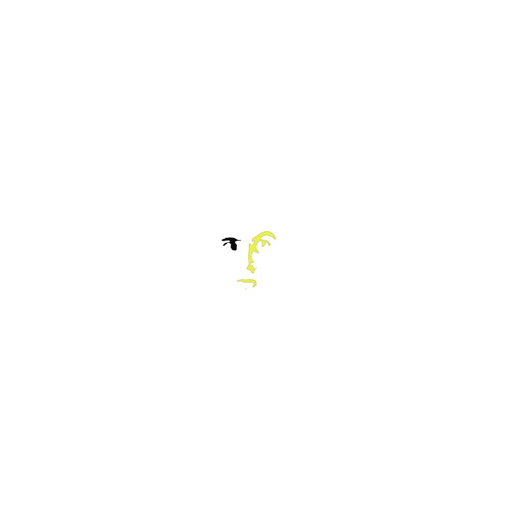 Chant in C