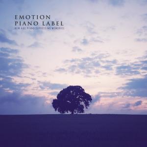 Album New Age Piano Expressing Memories from Various Artists