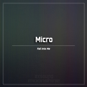 Album Fall Into Me from Micro