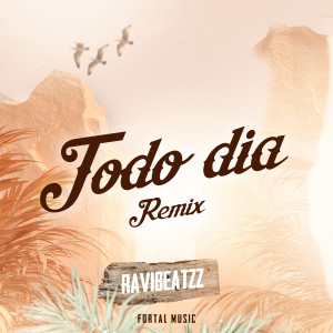 ravibeatzz的專輯Todo Dia (Remix)