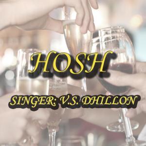 Listen to Hosh song with lyrics from V. S. Dhillon