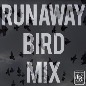 Juggs201的专辑RunAway Bird (Explicit)