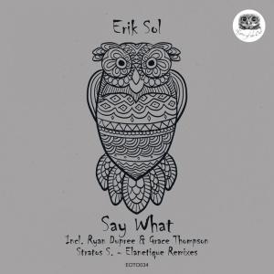 Dengarkan Say What lagu dari Erik Sol dengan lirik