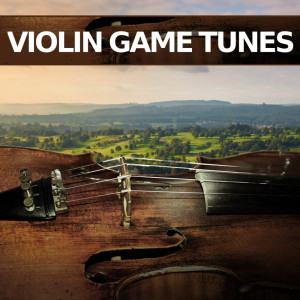 Video Game Theme Orchestra的專輯Violin Game Tunes