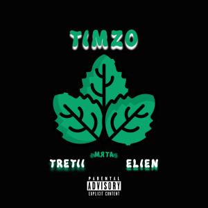 Album Мята (Explicit) from Timzo