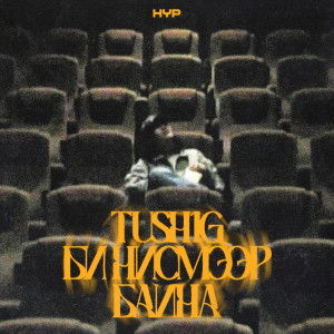 Listen to Би Нисмээр Байна song with lyrics from TUSH1G