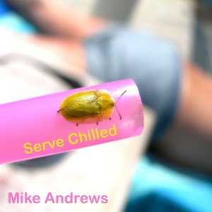 Mike Andrews的專輯Serve Chilled