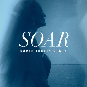 อัลบัม Soar (David Thulin Remix) ศิลปิน Kayla Berry