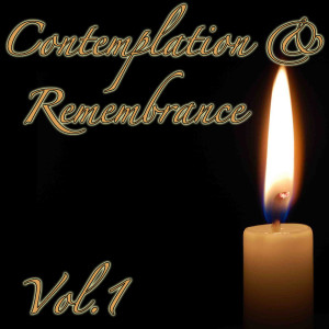 Listen to Great Funerary Sonata / Knocking At The Door / Introduction To The Angels / The Purging Of Mortal Sin (No. 1) song with lyrics from The Guild of Funerary Violinists