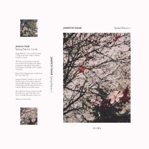 Listen to Pattern 7 song with lyrics from Jamison Isaak
