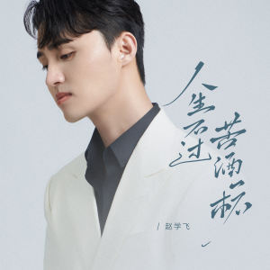 Listen to 人生不过苦酒一杯 song with lyrics from 赵学飞
