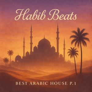 Album Best Arabic House, Pt. 1 from DJ Habib