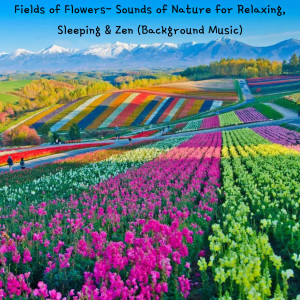 Fields of Flowers- Sounds of Nature for Relaxing, Sleeping & Zen (Background Music)
