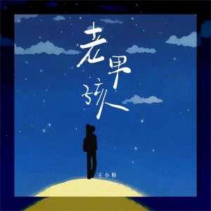 Album 老男孩 from 王小帅