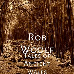 Dengarkan Prelude to a Stone Circle lagu dari Rob Woolf dengan lirik