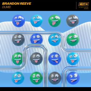 ดาวน์โหลดและฟังเพลง Dumb พร้อมเนื้อเพลงจาก Brandon Reeve