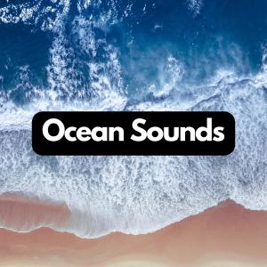 Album Coastal Echoes: Natural Wave Sounds from Calming Waves