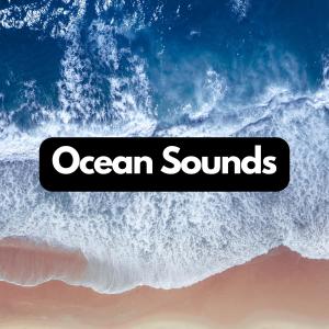 Dengarkan lagu Natural Wave Sounds, Pt. 21 nyanyian Relajación dengan lirik