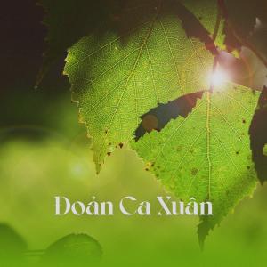 ดาวน์โหลดและฟังเพลง Đoản Ca Xuân พร้อมเนื้อเพลงจาก Phương Nhi