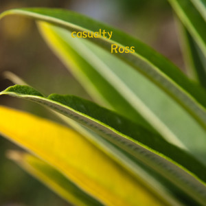 Album casualty oleh Ross