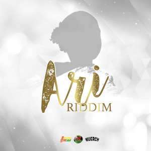 Listen to Ari Riddim (Instrumental) song with lyrics from Various