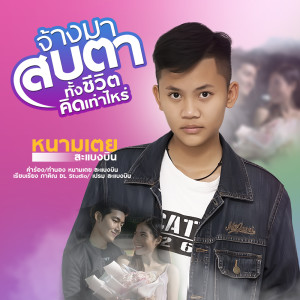 ดาวน์โหลดและฟังเพลง จ้างมาสบตาทั้งชีวิตคิดเท่าไหร่ พร้อมเนื้อเพลงจาก หนามเตย