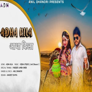 Album Aadha Kila from Anil Dhanori